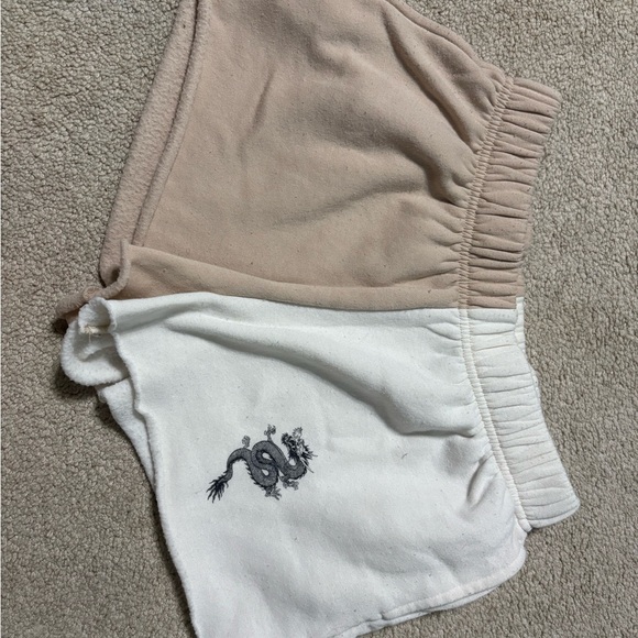 Women's Two-Tone Athletic Shorts with Dragon Motif - Picture 1 of 5